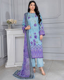 Chikankari Collection - Print Shrint Vol 16 - D-02