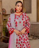 Print Shrint - Vol 30 - Premium Printed Emb Lawn - D-06