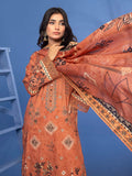 Rakhna By Noor Lawn Vol 15 '24 D 10
