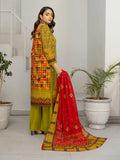Rakhna By Noor Lawn Vol 23 '24 D 04
